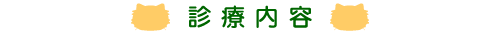 診療内容